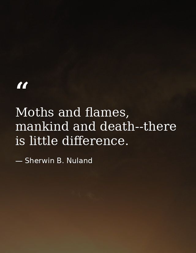Moths and flames, mankind and death--there is little difference. — Sherwin B. Nuland