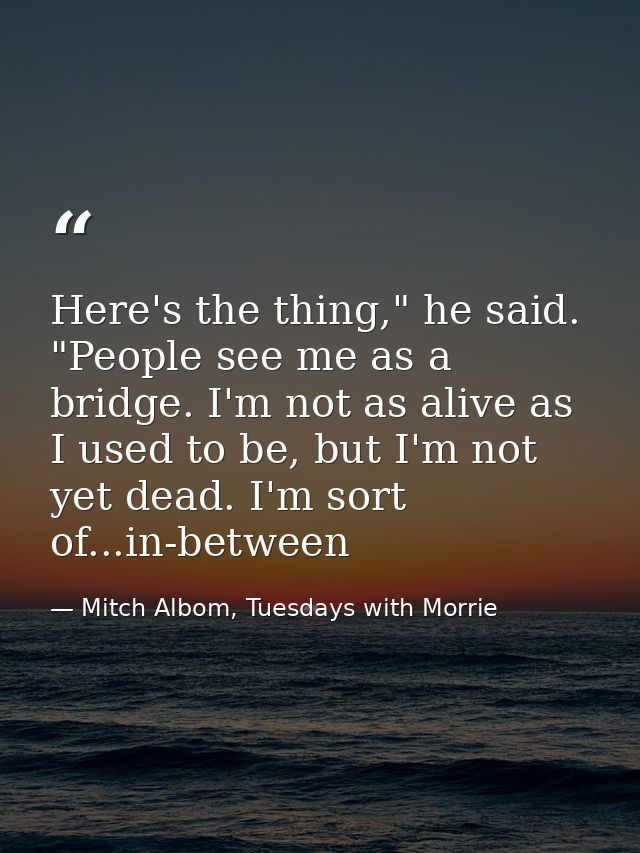 Here's the thing," he said. "People see me as a bridge. I'm not as alive as I used to be, but I'm not yet dead. I'm sort — Mitch Albom, Tuesdays with Morrie