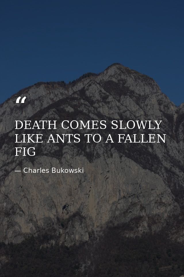 DEATH COMES SLOWLY LIKE ANTS TO A FALLEN FIG — Charles Bukowski