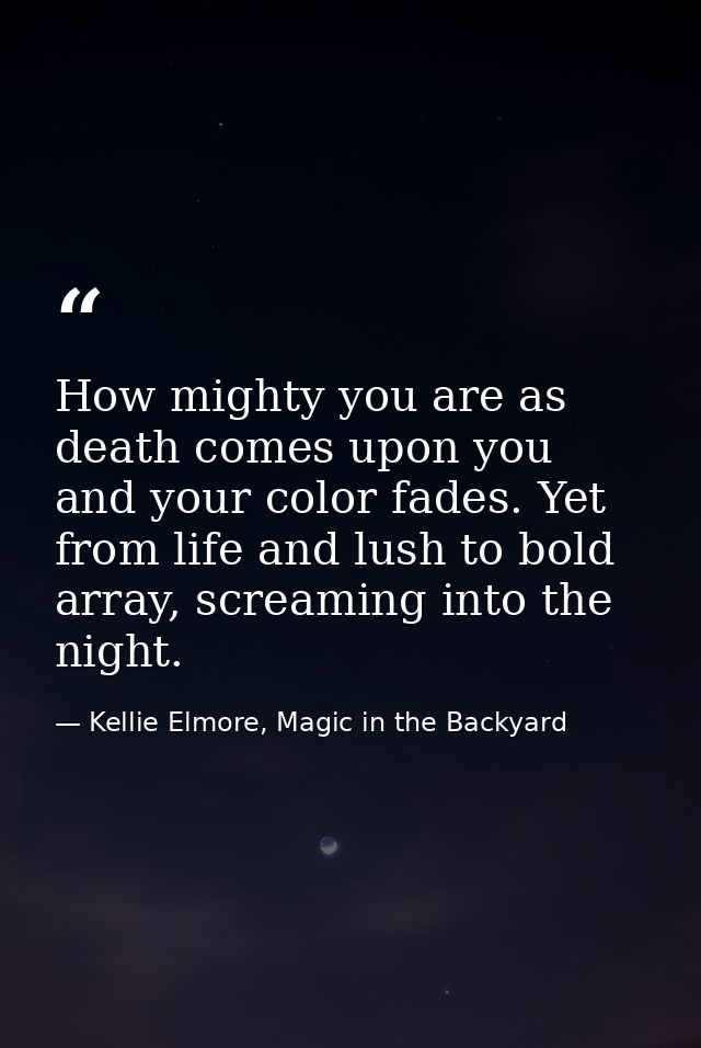 How mighty you are as death comes upon you and your color fades. Yet from life and lush to bold array, screaming into th — Kellie Elmore, Magic in the Backyard