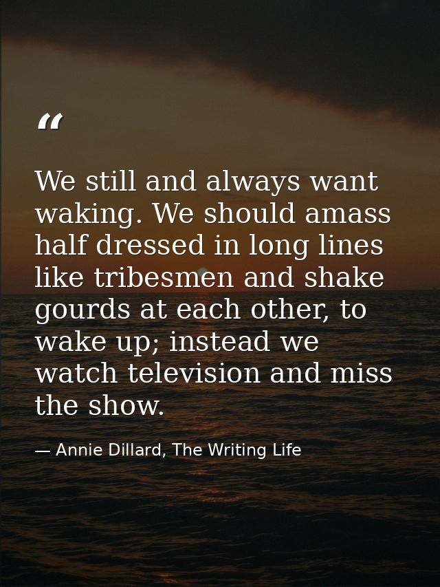 We still and always want waking. We should amass half dressed in long lines like tribesmen and shake gourds at each othe — Annie Dillard, The Writing Life