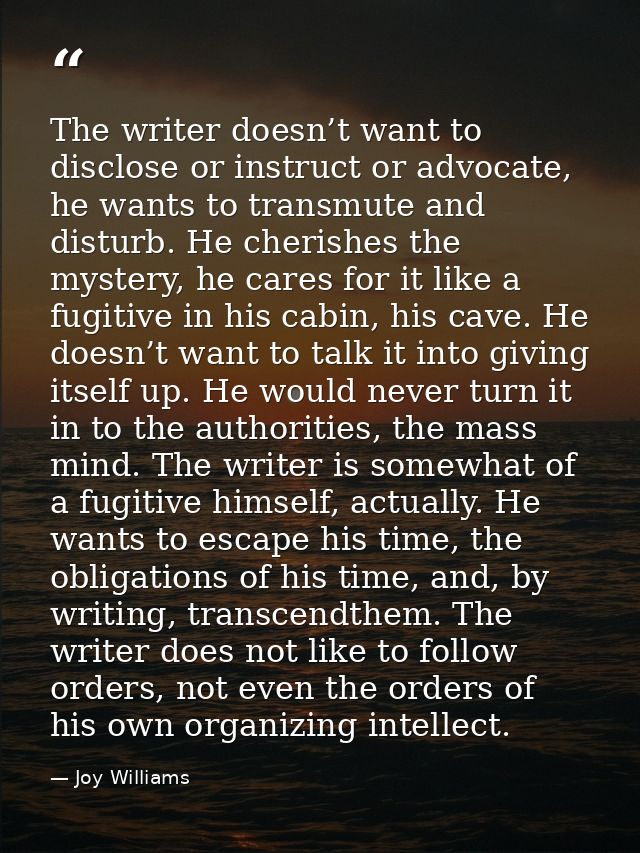 The writer doesn’t want to disclose or instruct or advocate, he wants to transmute and disturb. He cherishes the mystery — Joy Williams