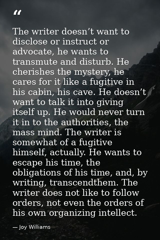 The writer doesn’t want to disclose or instruct or advocate, he wants to transmute and disturb. He cherishes the mystery — Joy Williams