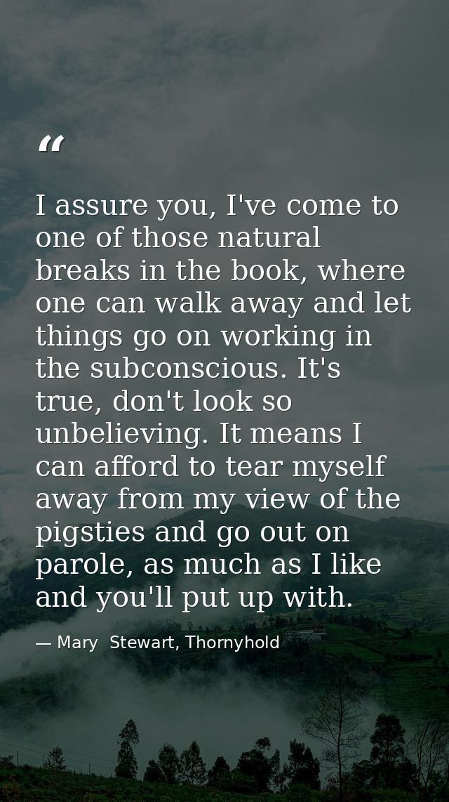 I assure you, I've come to one of those natural breaks in the book, where one can walk away and let things go on working — Mary  Stewart, Thornyhold