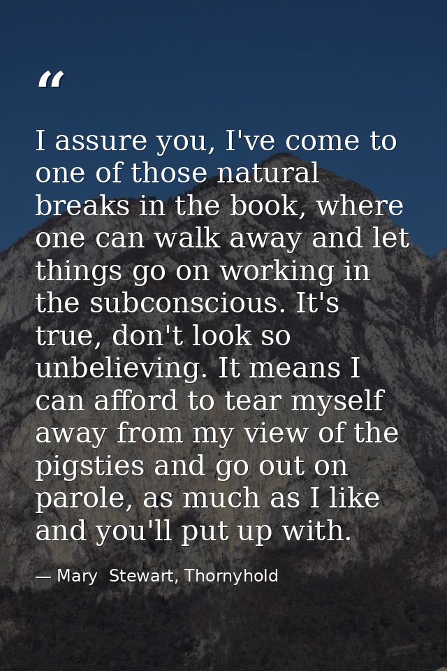 I assure you, I've come to one of those natural breaks in the book, where one can walk away and let things go on working — Mary  Stewart, Thornyhold