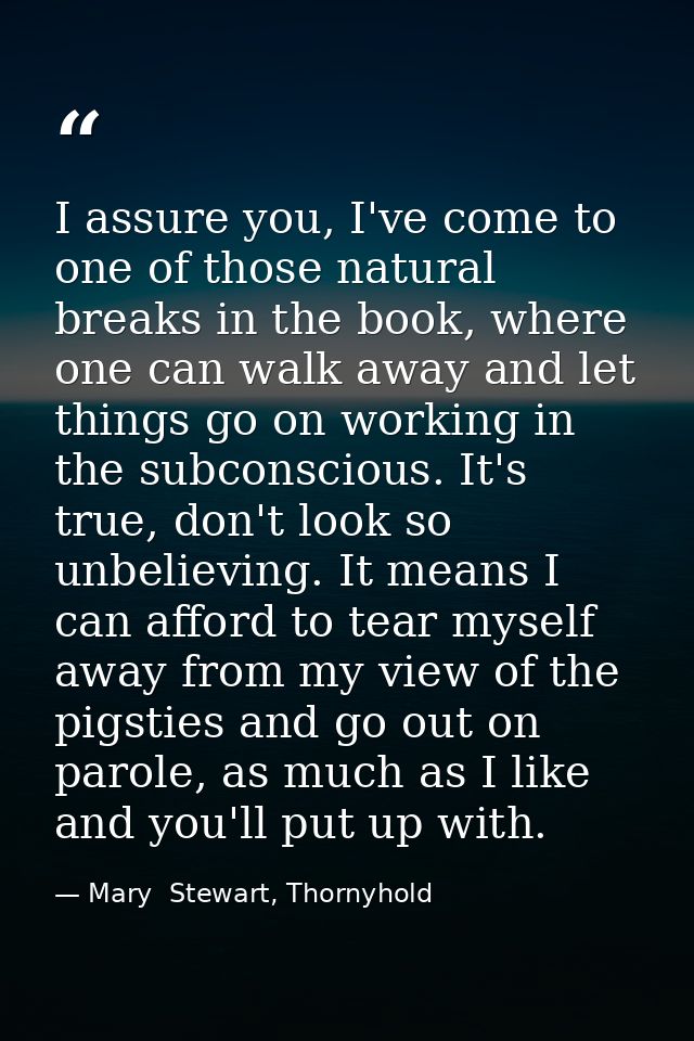 I assure you, I've come to one of those natural breaks in the book, where one can walk away and let things go on working — Mary  Stewart, Thornyhold