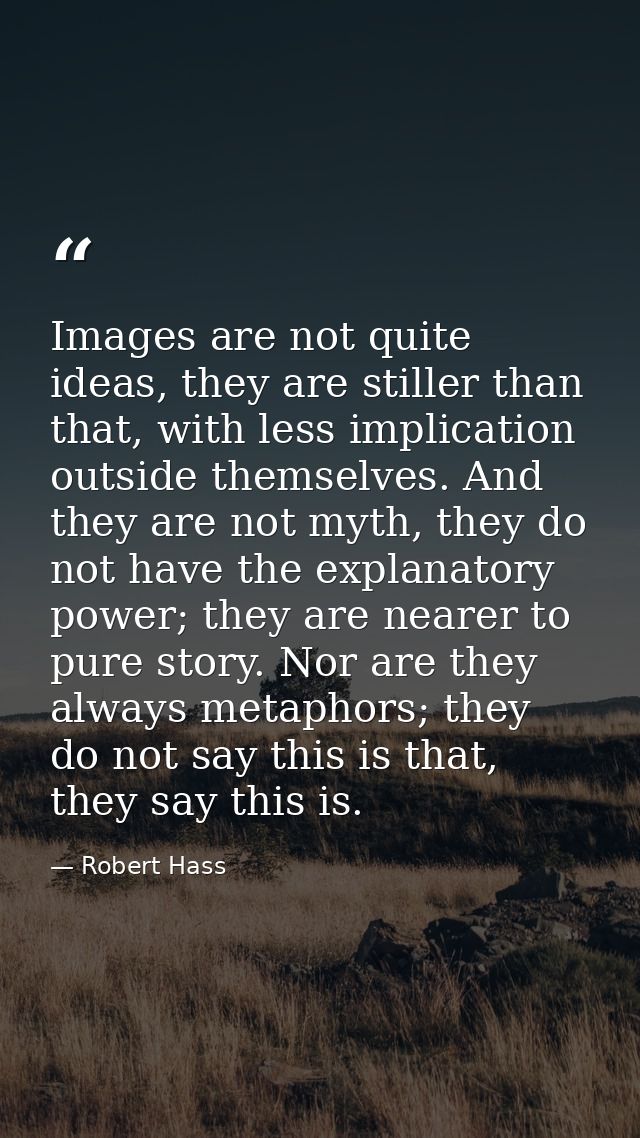 Images are not quite ideas, they are stiller than that, with less implication outside themselves. And they are not myth, — Robert Hass