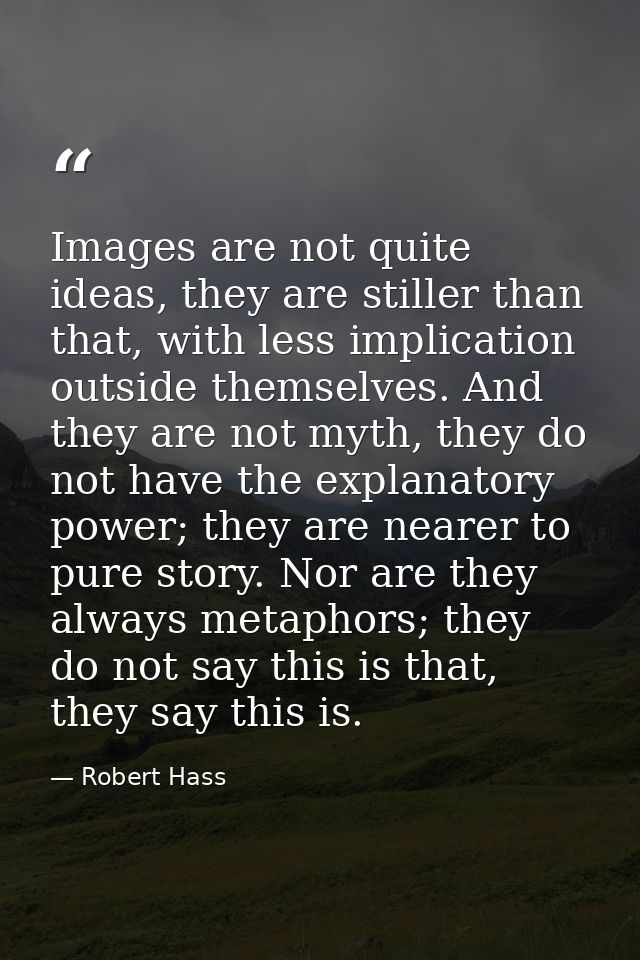 Images are not quite ideas, they are stiller than that, with less implication outside themselves. And they are not myth, — Robert Hass
