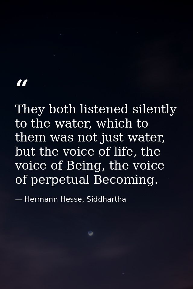They both listened silently to the water, which to them was not just water, but the voice of life, the voice of Being, t — Hermann Hesse, Siddhartha
