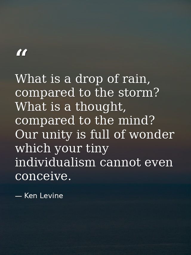 What is a drop of rain, compared to the storm? What is a thought, compared to the mind? Our unity is full of wonder whic — Ken Levine