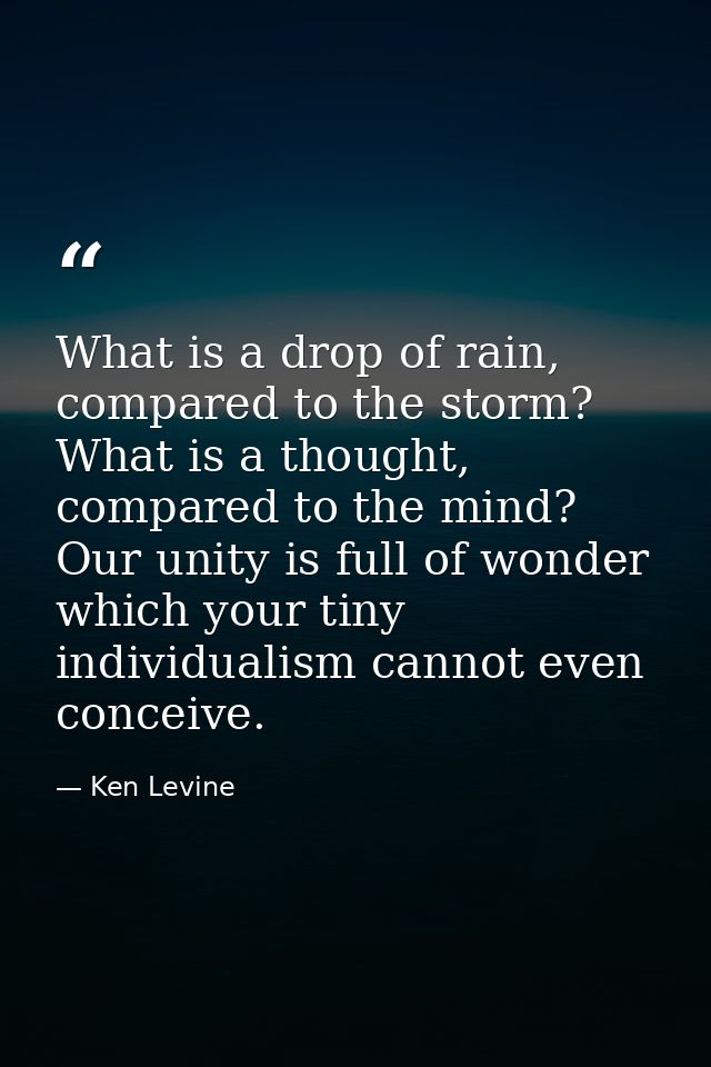 What is a drop of rain, compared to the storm? What is a thought, compared to the mind? Our unity is full of wonder whic — Ken Levine