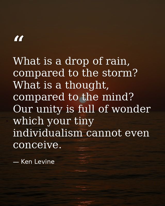 What is a drop of rain, compared to the storm? What is a thought, compared to the mind? Our unity is full of wonder whic — Ken Levine