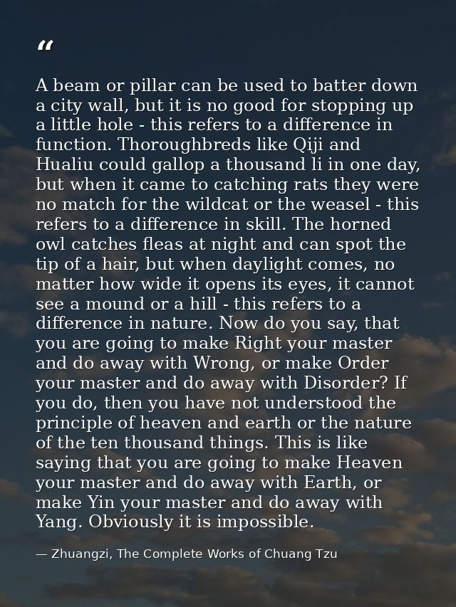 A beam or pillar can be used to batter down a city wall, but it is no good for stopping up a little hole - this refers t — Zhuangzi, The Complete Works of Chuang Tzu