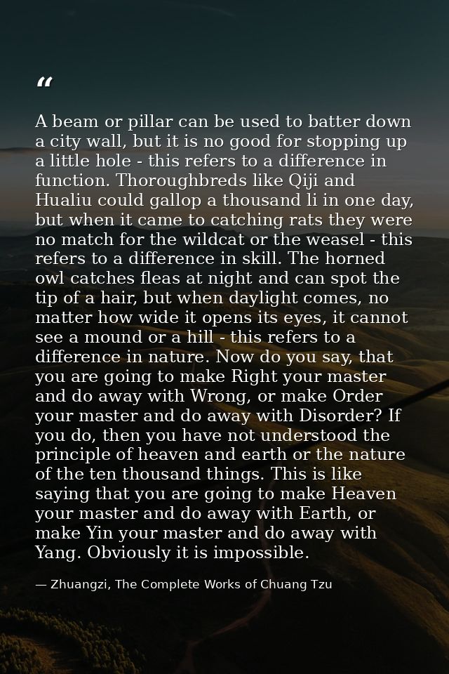 A beam or pillar can be used to batter down a city wall, but it is no good for stopping up a little hole - this refers t — Zhuangzi, The Complete Works of Chuang Tzu
