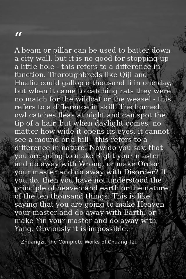 A beam or pillar can be used to batter down a city wall, but it is no good for stopping up a little hole - this refers t — Zhuangzi, The Complete Works of Chuang Tzu