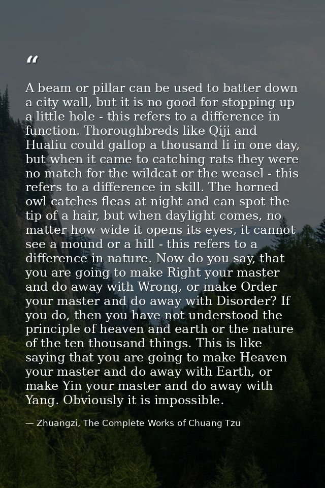 A beam or pillar can be used to batter down a city wall, but it is no good for stopping up a little hole - this refers t — Zhuangzi, The Complete Works of Chuang Tzu
