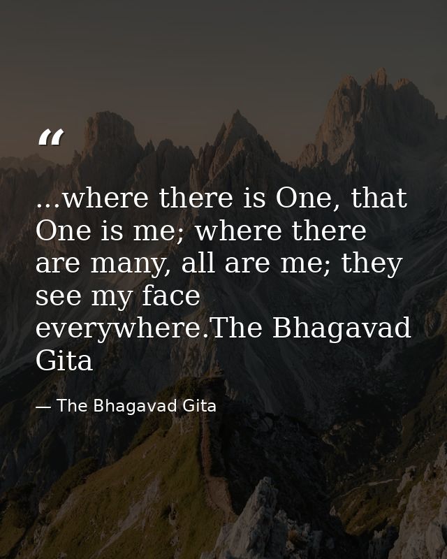 ...where there is One, that One is me; where there are many, all are me; they see my face everywhere.The Bhagavad Gita — The Bhagavad Gita