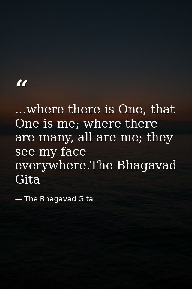 ...where there is One, that One is me; where there are many, all are me; they see my face everywhere.The Bhagavad Gita — The Bhagavad Gita