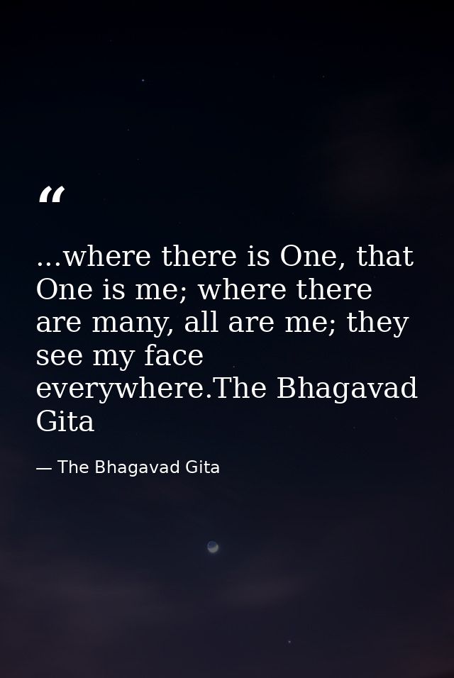 ...where there is One, that One is me; where there are many, all are me; they see my face everywhere.The Bhagavad Gita — The Bhagavad Gita