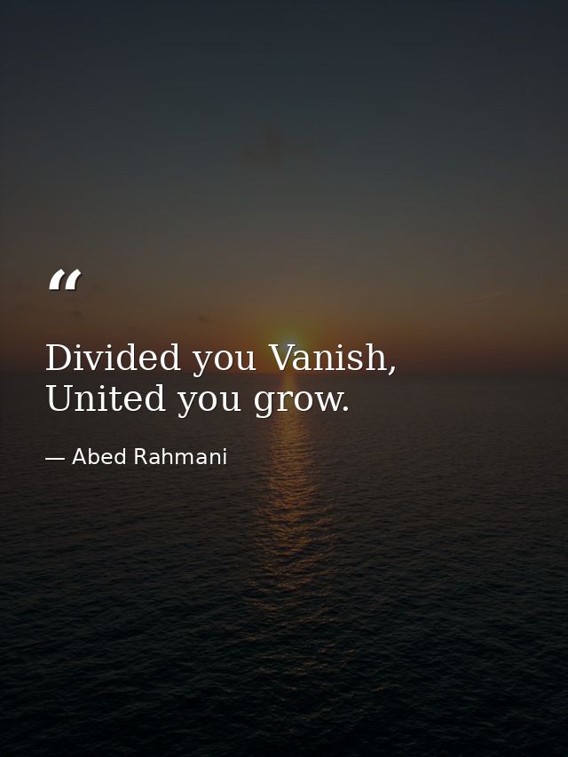 Divided you Vanish, United you grow. — Abed Rahmani