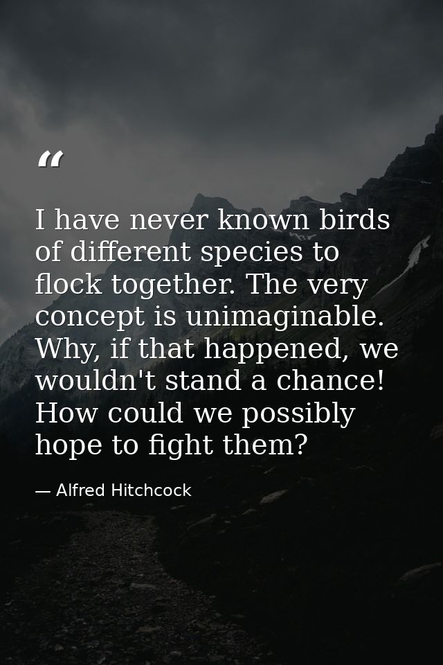 I have never known birds of different species to flock together. The very concept is unimaginable. Why, if that happened — Alfred Hitchcock