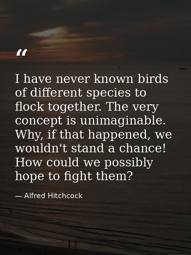 I have never known birds of different species to flock together. The very concept is unimaginable. Why, if that happened — Alfred Hitchcock