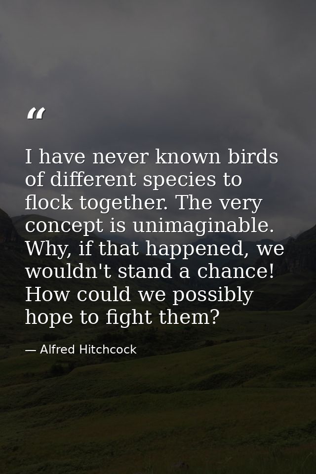 I have never known birds of different species to flock together. The very concept is unimaginable. Why, if that happened — Alfred Hitchcock