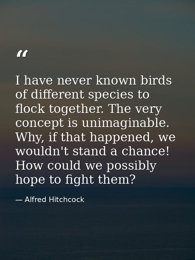 I have never known birds of different species to flock together. The very concept is unimaginable. Why, if that happened — Alfred Hitchcock