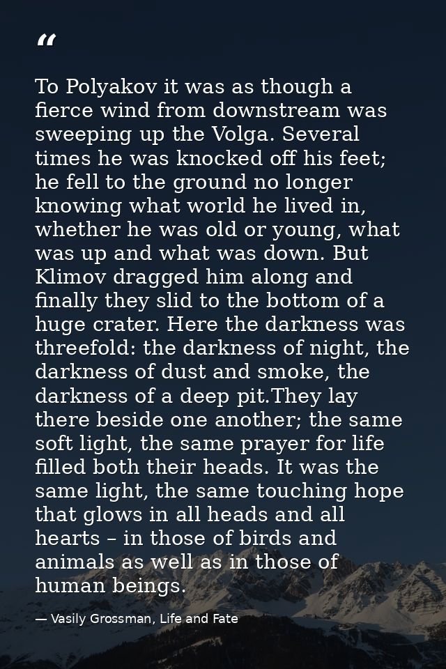 To Polyakov it was as though a fierce wind from downstream was sweeping up the Volga. Several times he was knocked off h — Vasily Grossman, Life and Fate