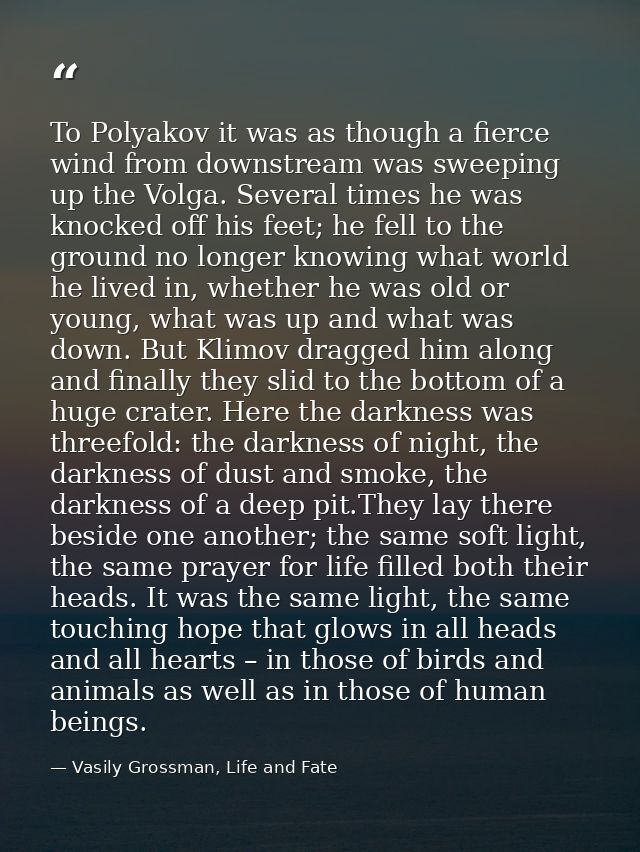 To Polyakov it was as though a fierce wind from downstream was sweeping up the Volga. Several times he was knocked off h — Vasily Grossman, Life and Fate