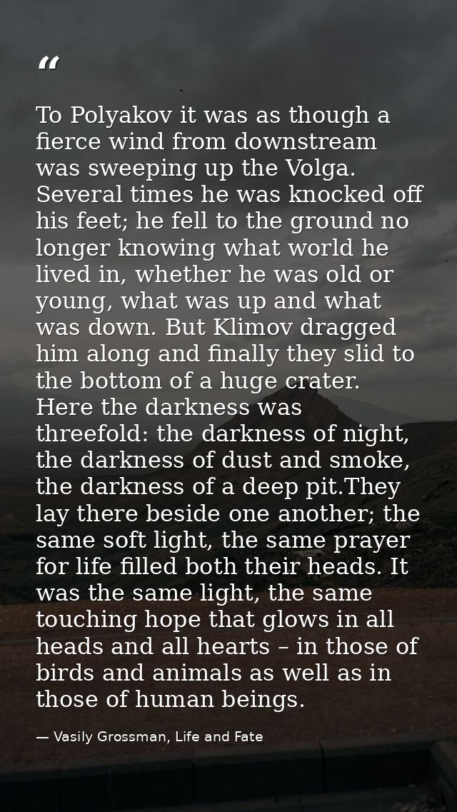 To Polyakov it was as though a fierce wind from downstream was sweeping up the Volga. Several times he was knocked off h — Vasily Grossman, Life and Fate