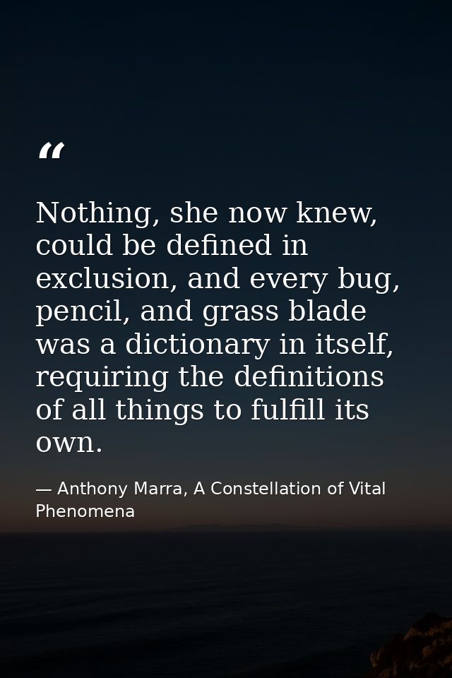 Nothing, she now knew, could be defined in exclusion, and every bug, pencil, and grass blade was a dictionary in itself, — Anthony Marra, A Constellation of Vital Phenomena