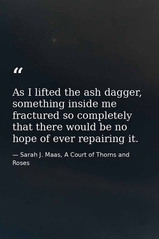 As I lifted the ash dagger, something inside me fractured so completely that there would be no hope of ever repairing it — Sarah J. Maas, A Court of Thorns and Roses