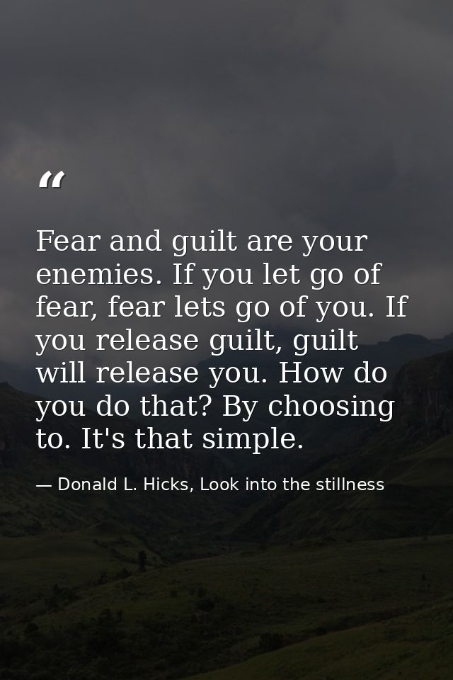 Fear and guilt are your enemies. If you let go of fear, fear lets go of you. If you release guilt, guilt will release yo — Donald L. Hicks, Look into the stillness
