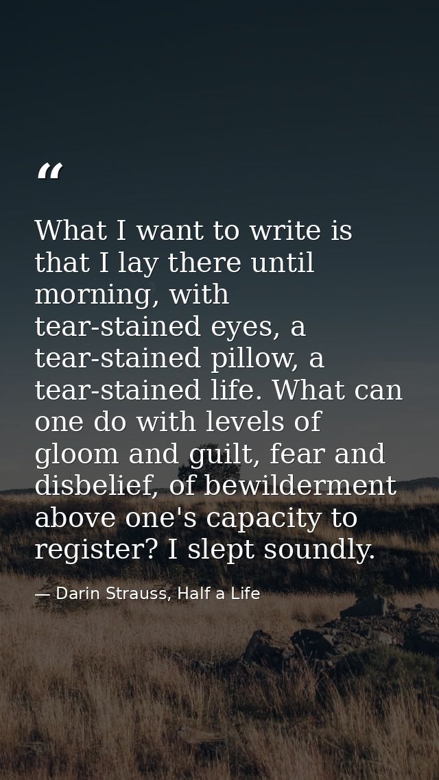 What I want to write is that I lay there until morning, with tear-stained eyes, a tear-stained pillow, a tear-stained li — Darin Strauss, Half a Life