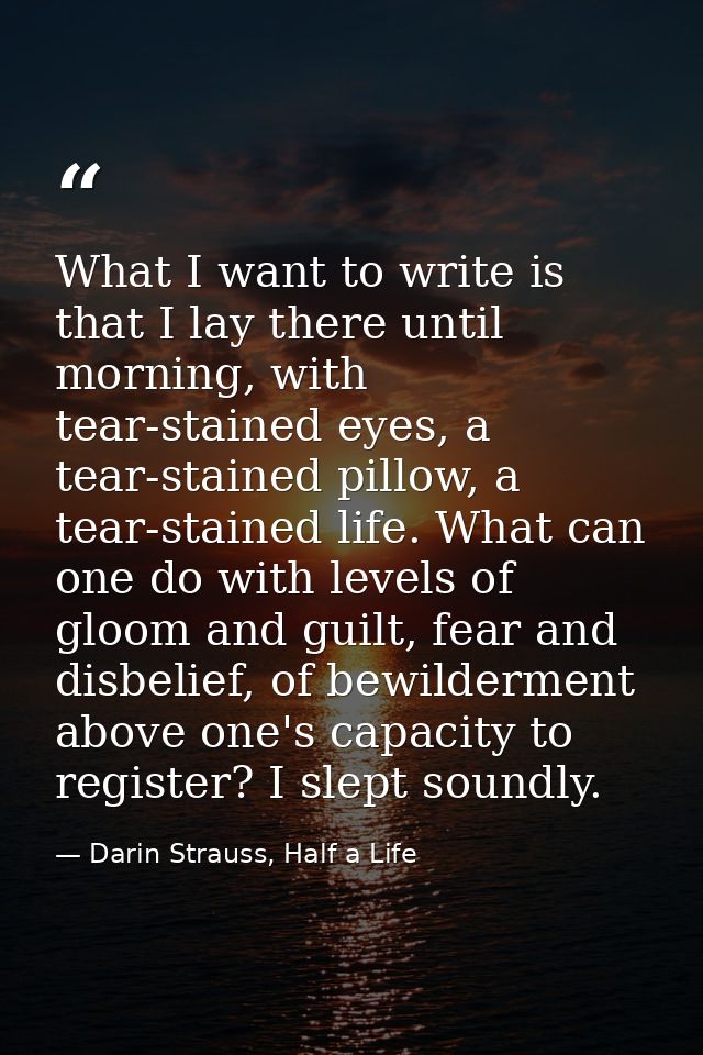 What I want to write is that I lay there until morning, with tear-stained eyes, a tear-stained pillow, a tear-stained li — Darin Strauss, Half a Life