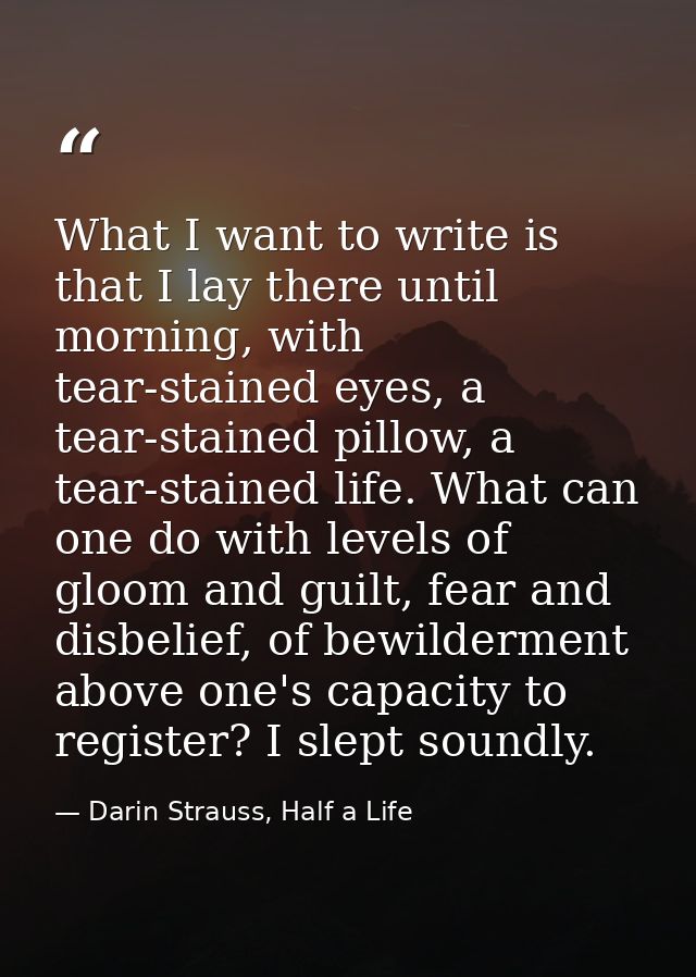 What I want to write is that I lay there until morning, with tear-stained eyes, a tear-stained pillow, a tear-stained li — Darin Strauss, Half a Life