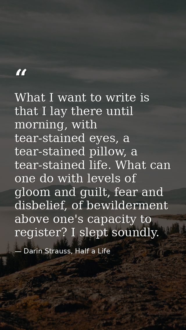 What I want to write is that I lay there until morning, with tear-stained eyes, a tear-stained pillow, a tear-stained li — Darin Strauss, Half a Life