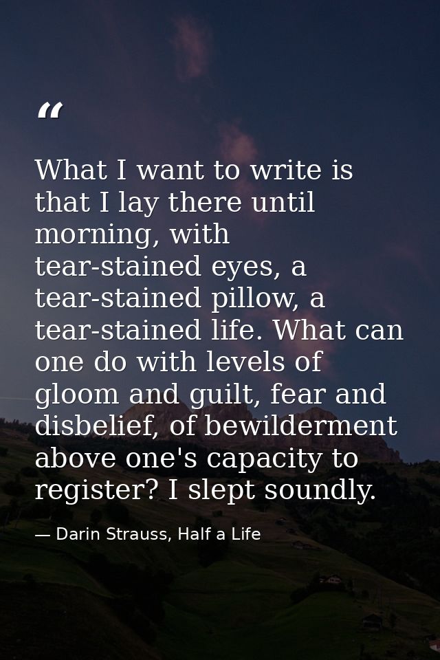 What I want to write is that I lay there until morning, with tear-stained eyes, a tear-stained pillow, a tear-stained li — Darin Strauss, Half a Life