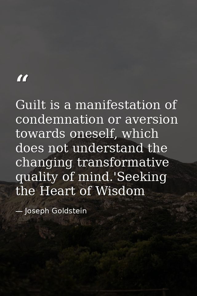 Guilt is a manifestation of condemnation or aversion towards oneself, which does not understand the changing transformat — Joseph Goldstein