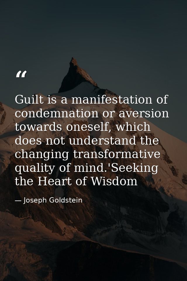Guilt is a manifestation of condemnation or aversion towards oneself, which does not understand the changing transformat — Joseph Goldstein