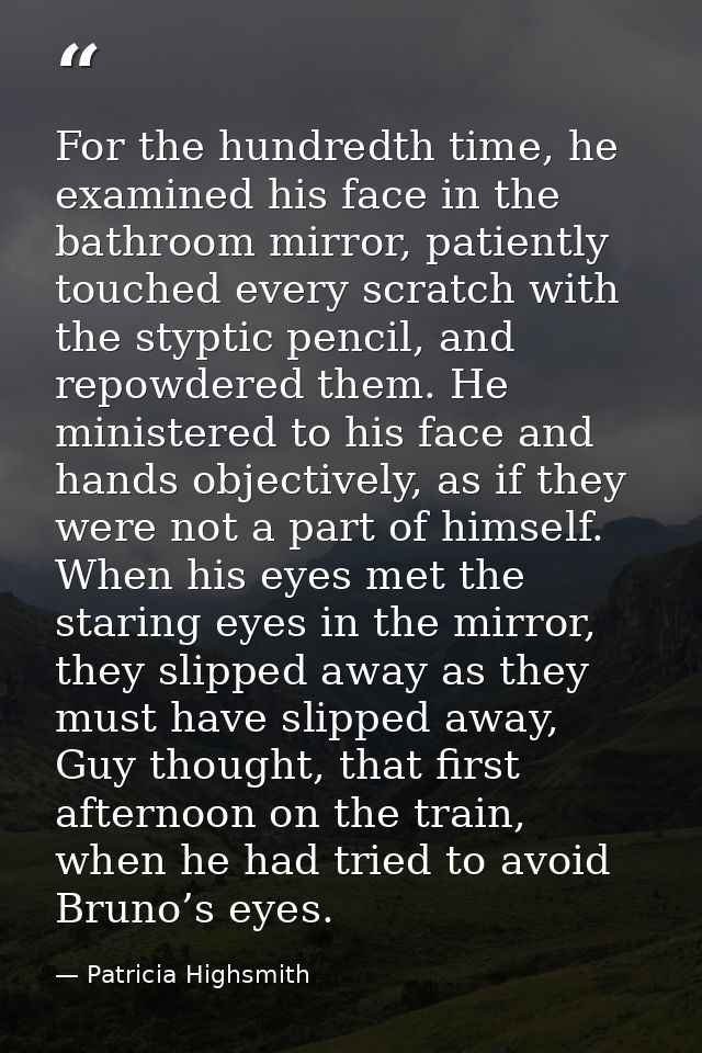 For the hundredth time, he examined his face in the bathroom mirror, patiently touched every scratch with the styptic pe — Patricia Highsmith