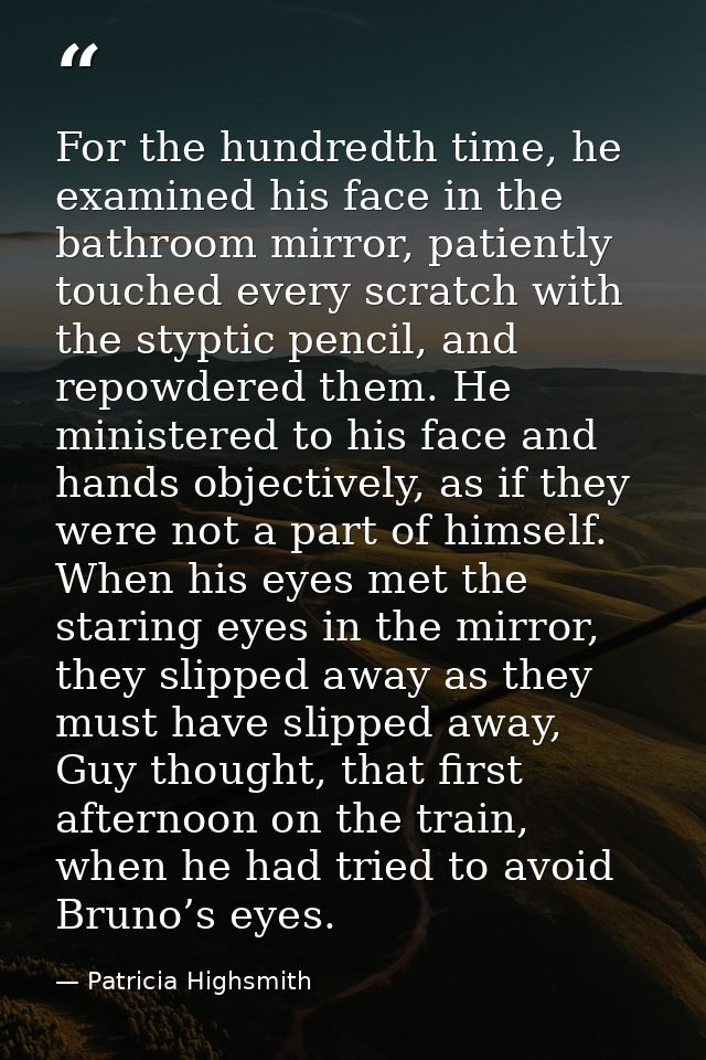 For the hundredth time, he examined his face in the bathroom mirror, patiently touched every scratch with the styptic pe — Patricia Highsmith