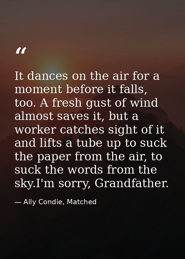 It dances on the air for a moment before it falls, too. A fresh gust of wind almost saves it, but a worker catches sight — Ally Condie, Matched