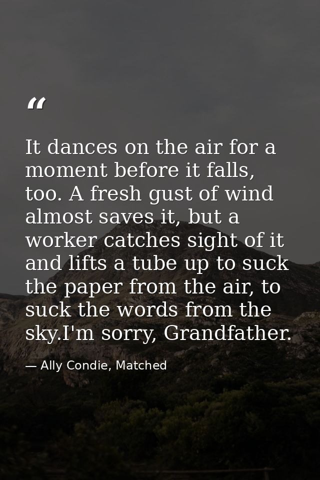 It dances on the air for a moment before it falls, too. A fresh gust of wind almost saves it, but a worker catches sight — Ally Condie, Matched