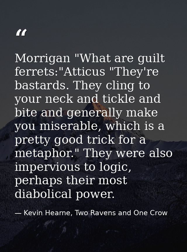 Morrigan "What are guilt ferrets:"Atticus "They're bastards. They cling to your neck and tickle and bite and generally m — Kevin Hearne, Two Ravens and One Crow