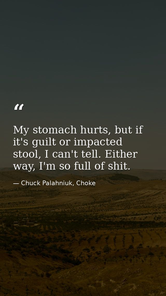 My stomach hurts, but if it's guilt or impacted stool, I can't tell. Either way, I'm so full of shit. — Chuck Palahniuk, Choke