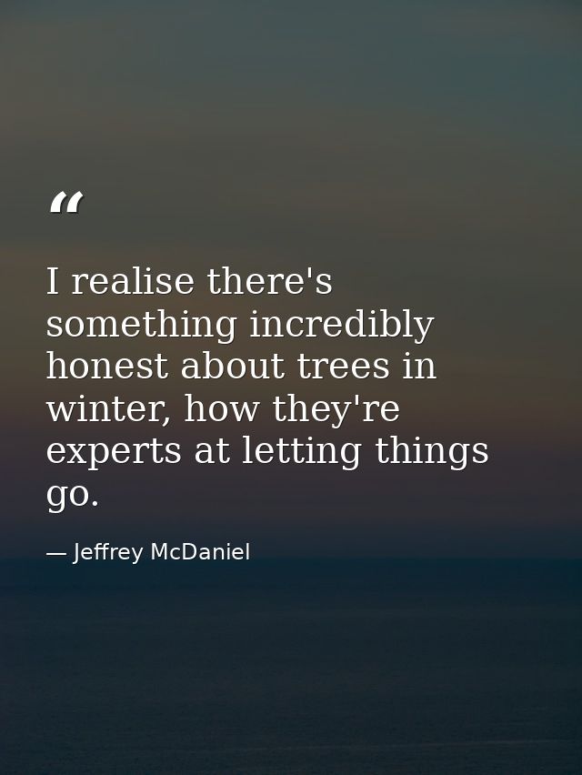 I realise there's something incredibly honest about trees in winter, how they're experts at letting things go. — Jeffrey McDaniel