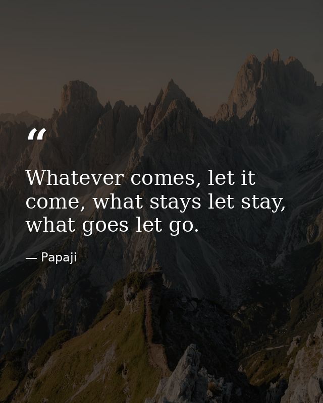 Whatever comes, let it come, what stays let stay, what goes let go. — Papaji