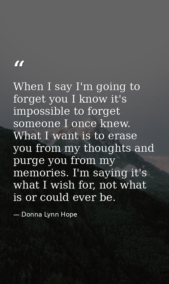 When I say I'm going to forget you I know it's impossible to forget someone I once knew. What I want is to erase you fro — Donna Lynn Hope